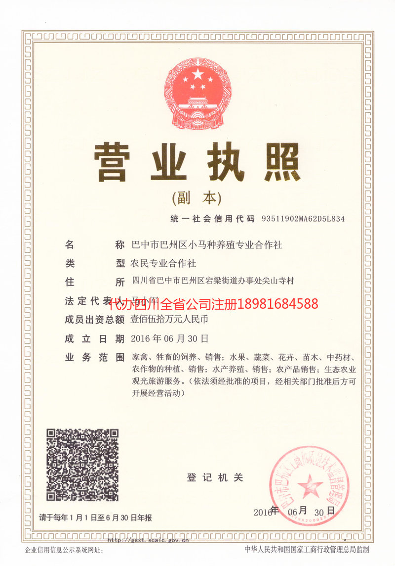 绥芬河绥芬河小马种养殖专业合作社